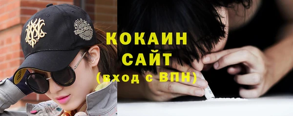 сатива Богородицк