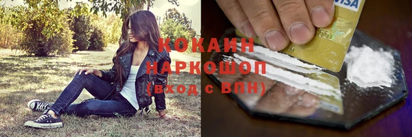 сатива Богородицк
